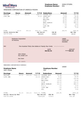 USA software company employee sheet template in Word and PDF format