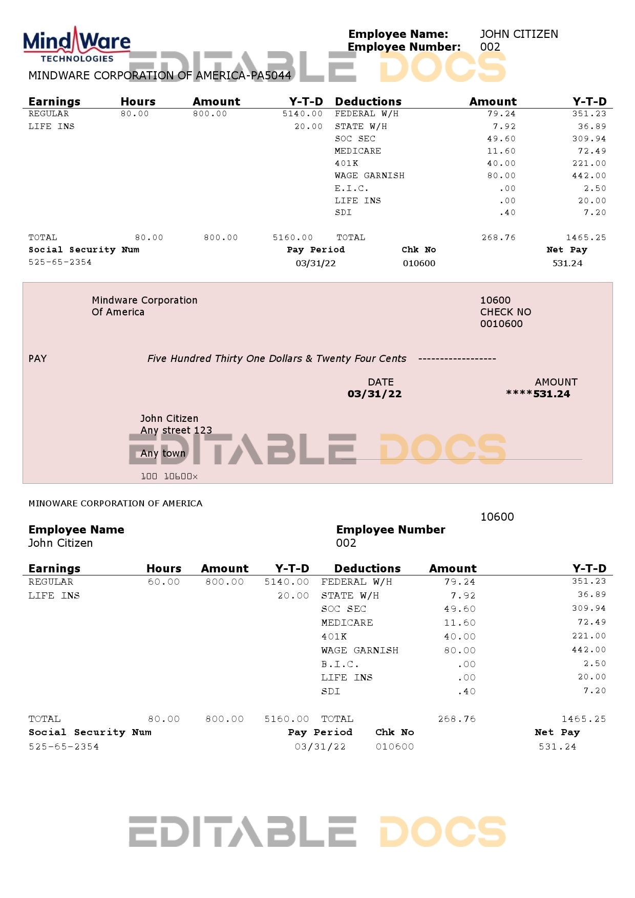 USA software company employee sheet template in Word and PDF format