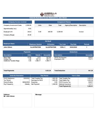 USA Umbrella pharmaceutical company pay stub Word and PDF template