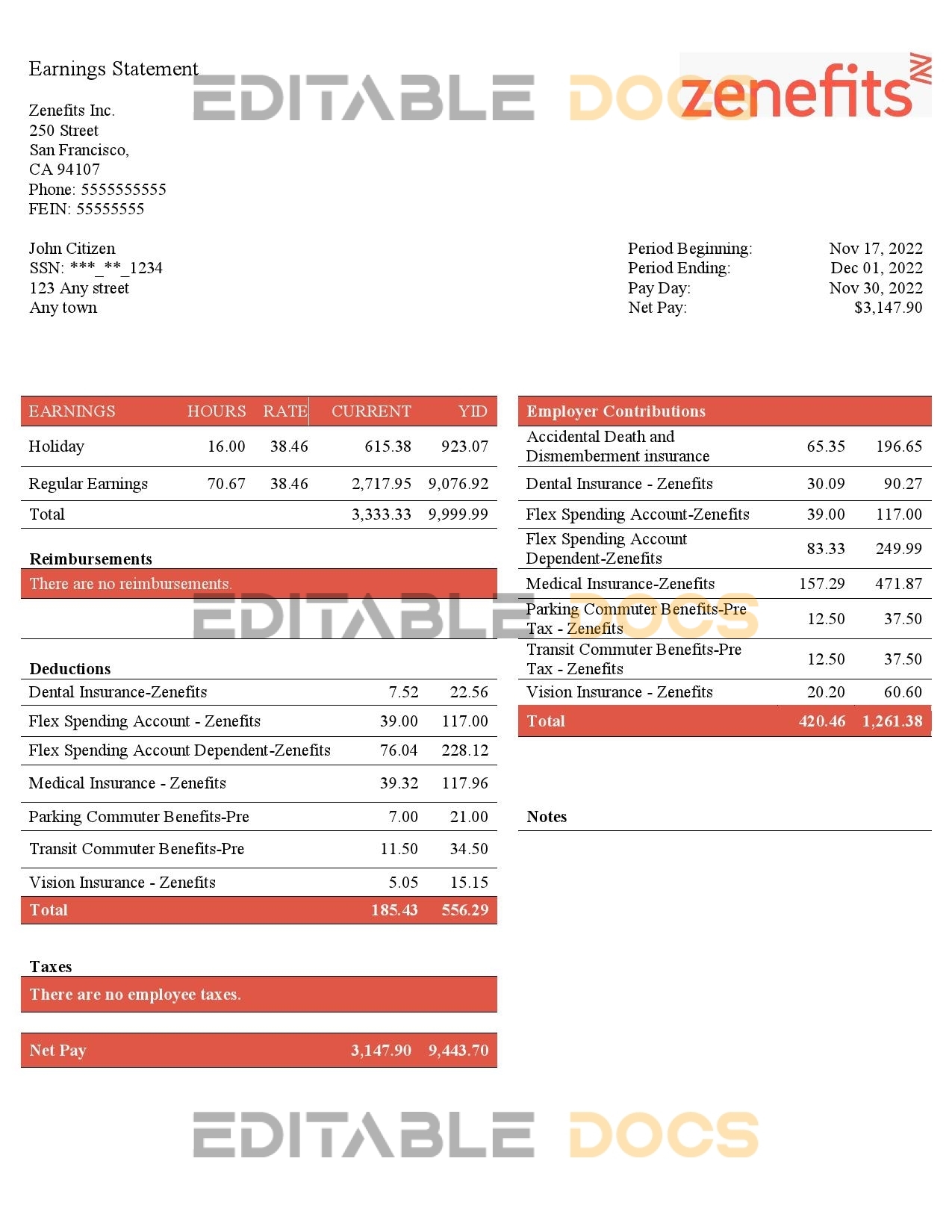 USA Zenefits technology company pay stub Word and PDF template