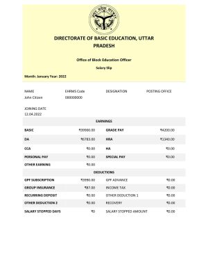 India Editable Docs 10 India Directorate of Basic Education Uttar Pradesh educational company pay stub Word and PDF template