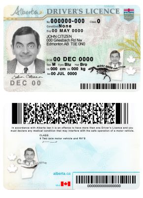 fake Canada Alberta province Driver License Template