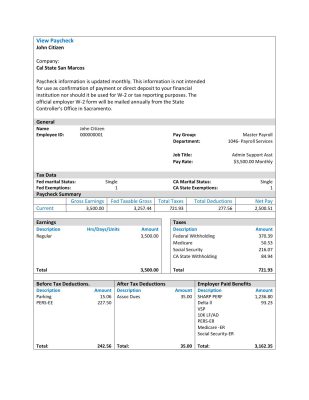 USA Cal State San Marcos payroll services company pay stub Word and PDF template
