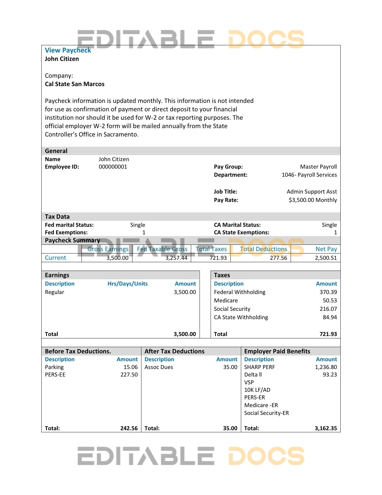 USA Cal State San Marcos payroll services company pay stub Word and PDF template