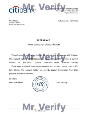Download Netherlands Citibank Bank Reference Letter Templates | Editable Word