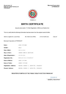 Paraguay birth certificate Word and PDF template, completely editable