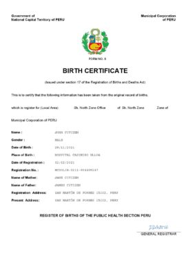 Peru birth certificate Word and PDF template, completely editable