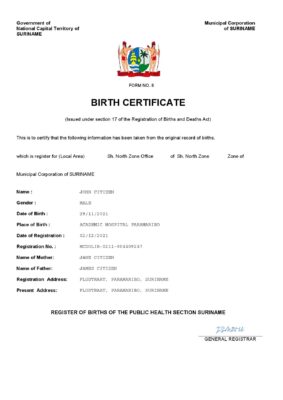 Suriname vital record birth certificate Word and PDF template, completely editable