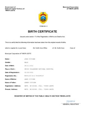 Timor-Leste birth certificate Word and PDF template, completely editable