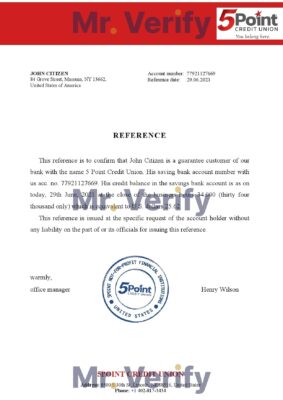 Download USA 5Point Bank Reference Letter Templates | Editable Word