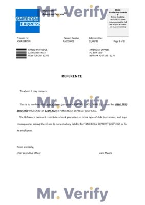 Download USA American Express Bank Reference Letter Templates Editable Word