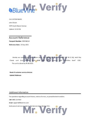 Download USA BlueVine Bank Reference Letter Templates | Editable Word