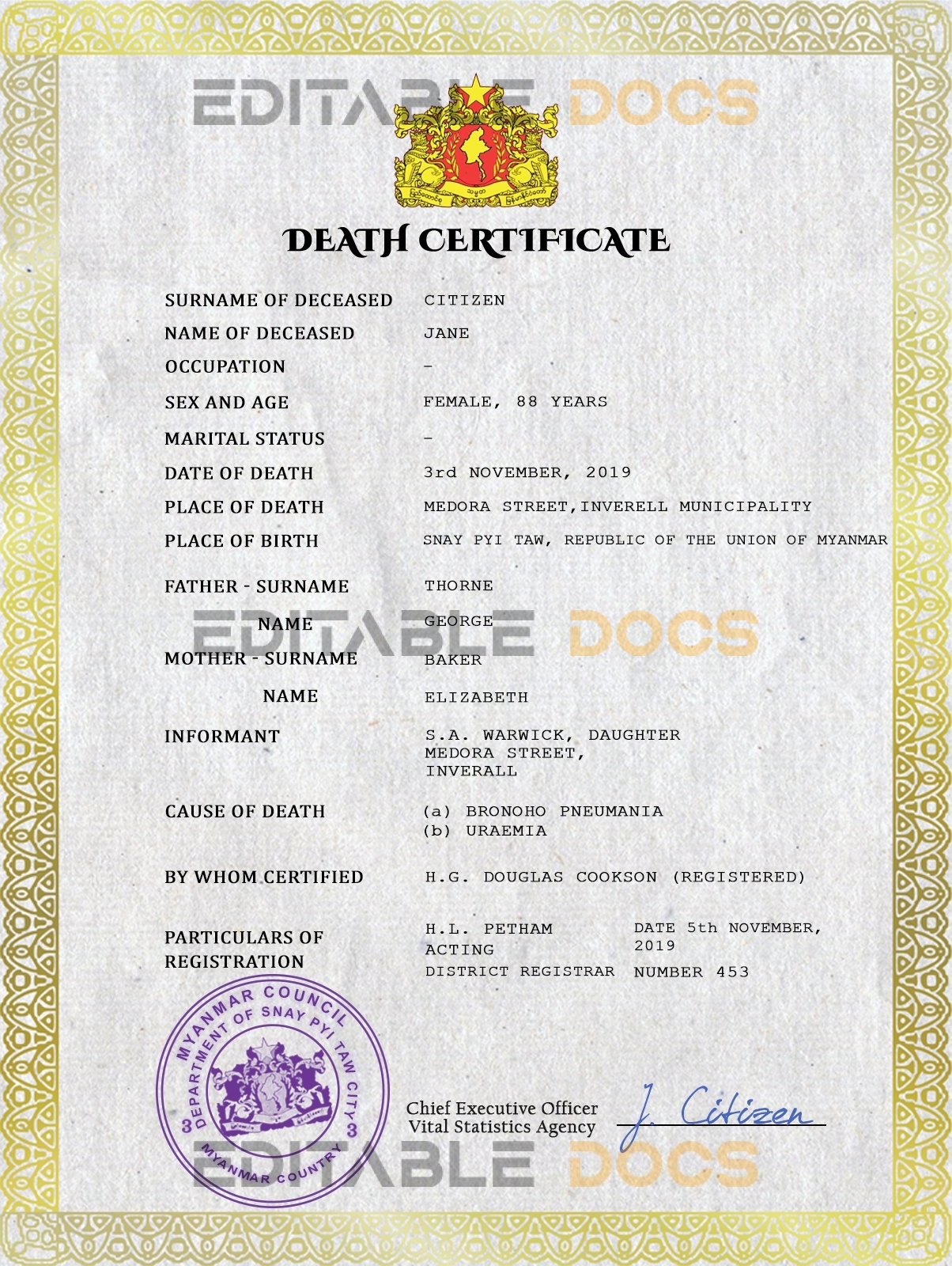 Customizable Myanmar Death Certificate PSD Templates | Instant Download