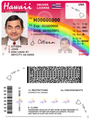 Fake Hawaii Driver License Template