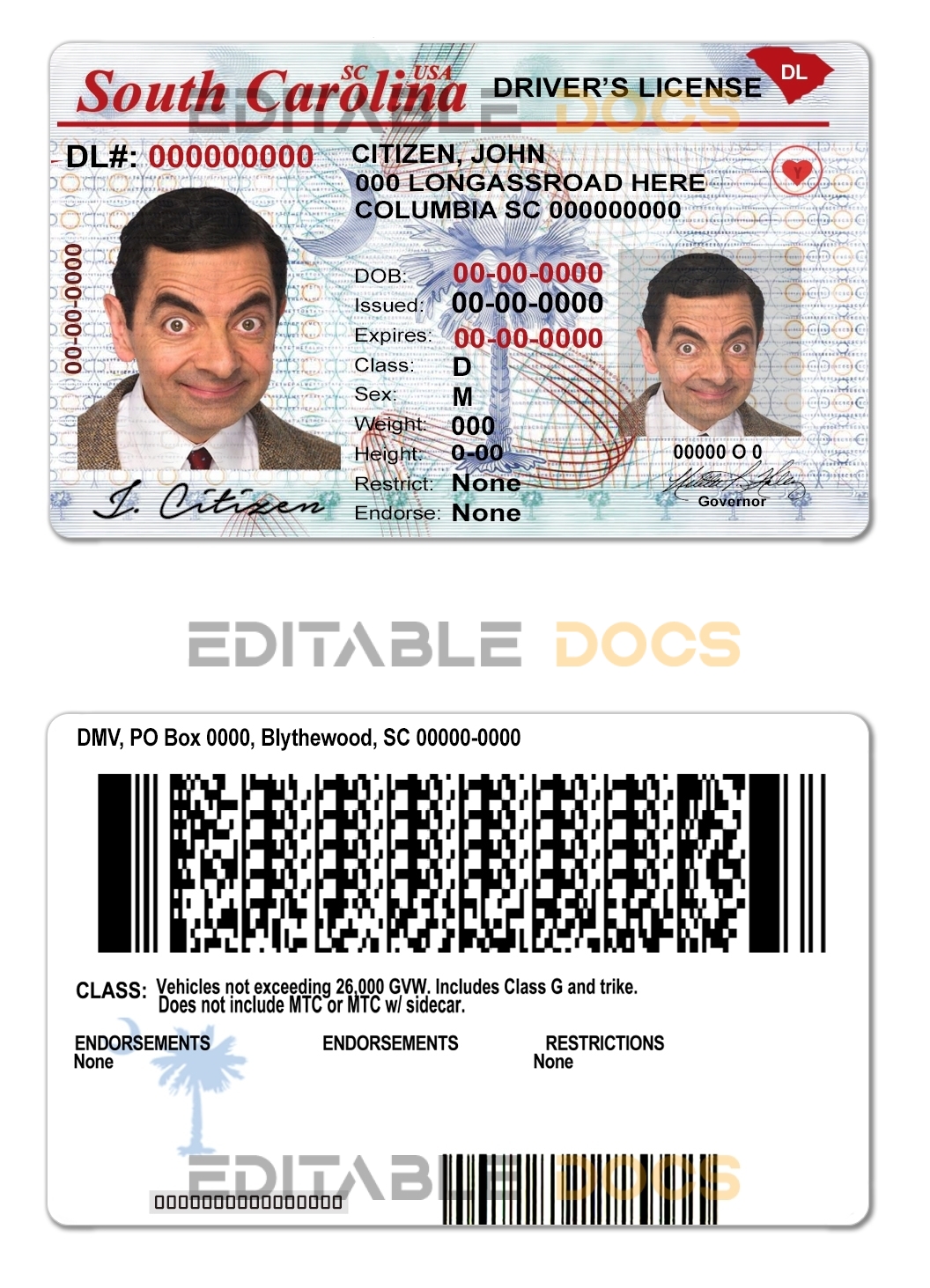 Fake USA South Carolina Driver License Template | PSD Layer-Based (old version)