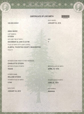 Authentic USA Washington Birth Certificate Template | Customize and Download Online