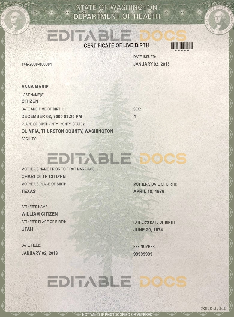 Authentic USA Washington Birth Certificate Template | Customize and Download Online