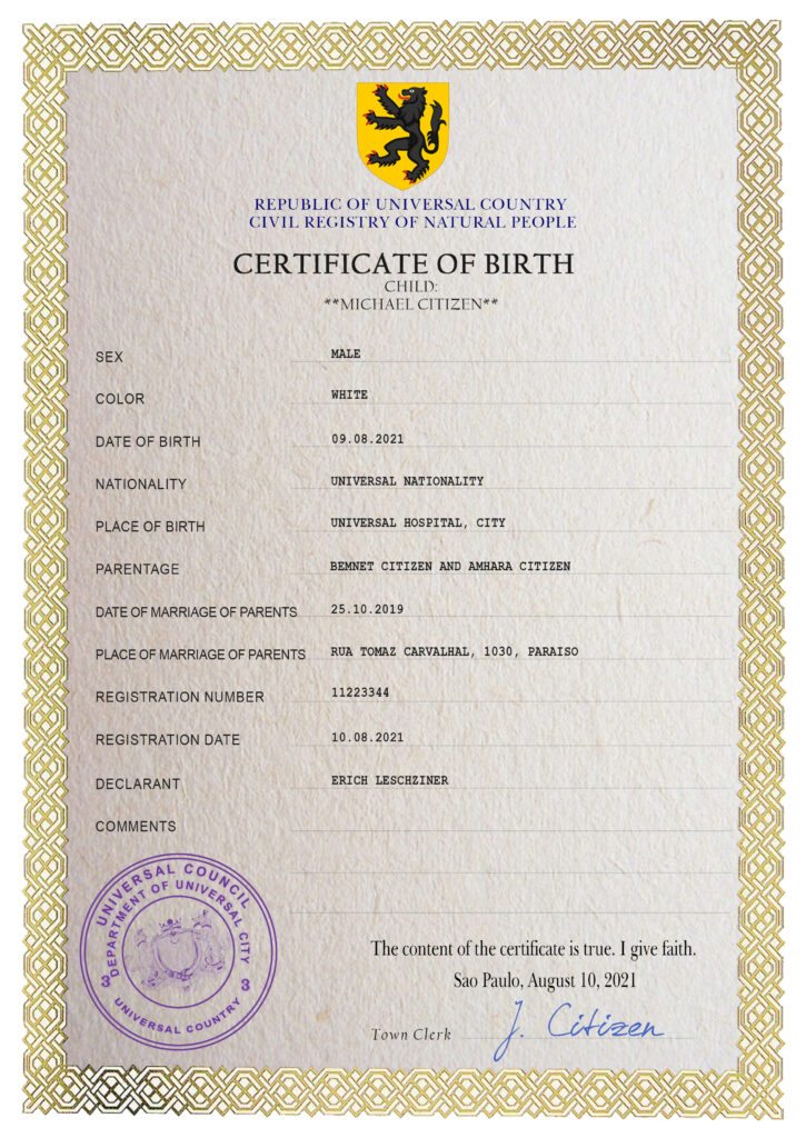 Authentic birthbia universal Birth Certificate PSD Template