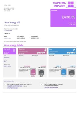 capitol imact universal multipurpose utility bill template in Word and PDF format