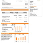 orange vibes universal multipurpose utility utility bill template in Word and PDF format