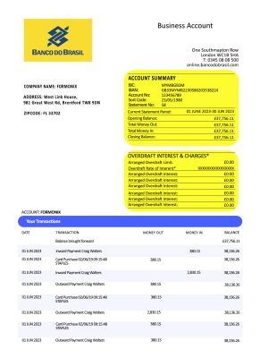 Fake Banco do Brasil Business Bank Statement