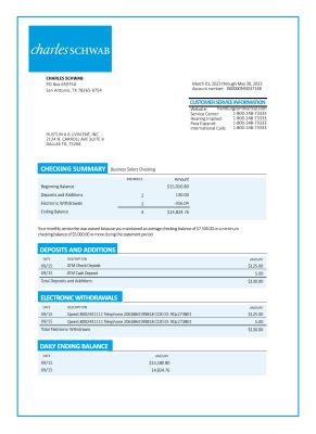 Fake Charles schwab Business Bank Statement