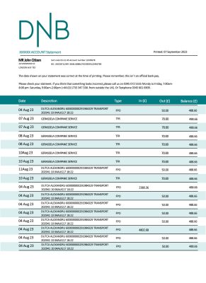 Fake DNB Business Bank Statement