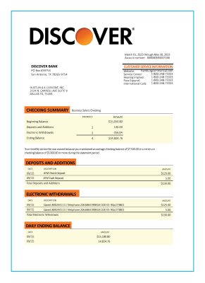 Fake Discover Business Bank Statement