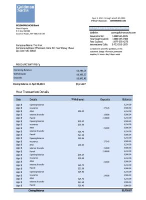 Fake Goldman Sachs Business Bank Statement