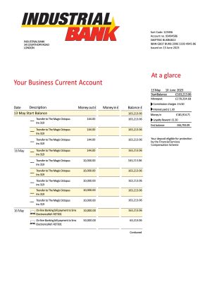 Fake Industrial Business Bank Statement