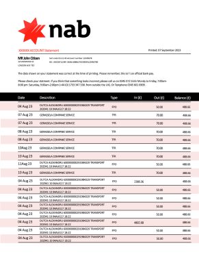 Fake NAB Business Bank Statement