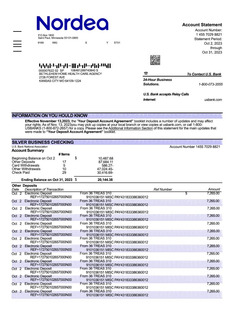 Fake Nordea Business Bank Statement