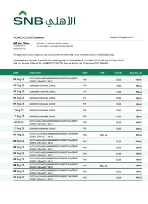 Fake SNB Business Bank Statement