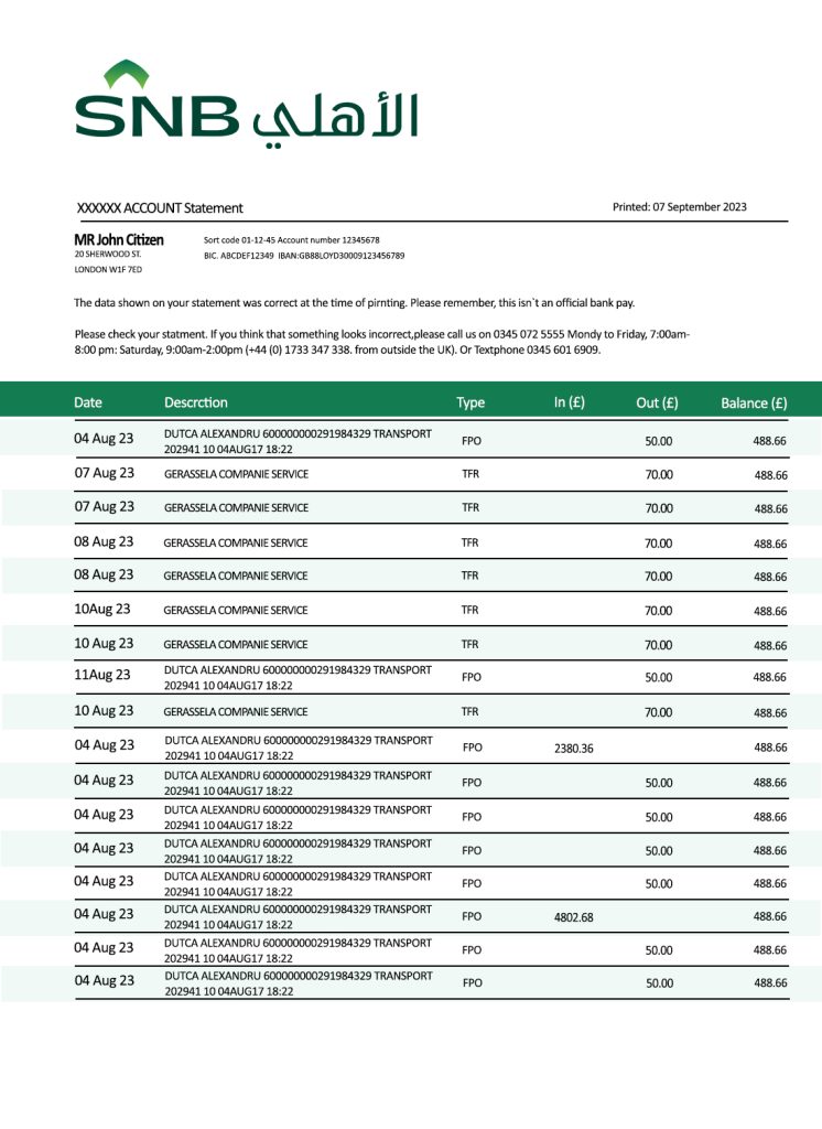 Fake SNB Business Bank Statement
