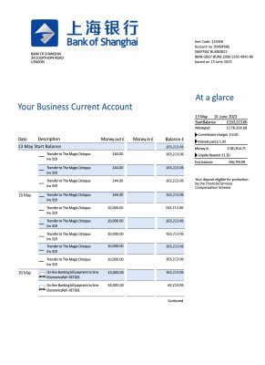 Fake Shanghai Business Bank Statement